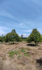 Agricultural Land in Raub, PHG