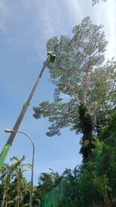 Tebang pokok / potong pokok / bersih kawasan