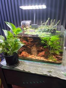 Aquascape tanks