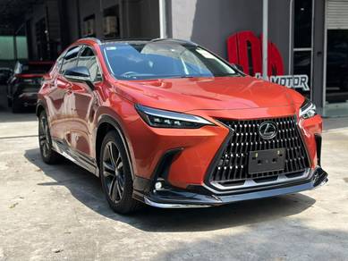 2022 Lexus NX 250 LUXURY