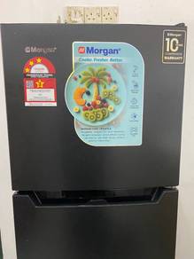 Peti Ais Morgan 166L