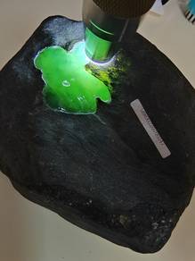 Bongkah Mentah Jadeite "Icy Seedling Green" Burma