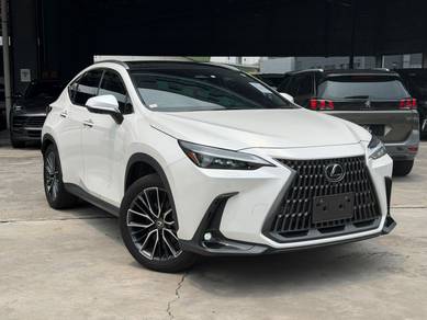 Lexus NX 250 BASE GRADE in Chan Sow Lin, KUL