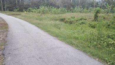 Agricultural Land in Jelebu, NSN