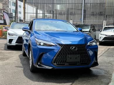 Lexus NX 250 BASE GRADE in Bandar Kinrara, SGR