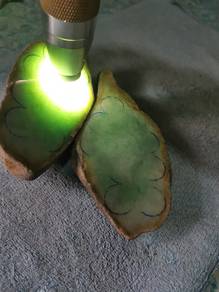 Icy Fruit Green Burma Jadeite Jade Rough Stone