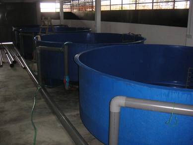 Fiberglass Fish Tank
