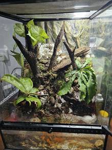 Exo Terrarium