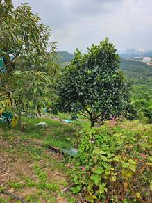 Agricultural Land in Seremban, NSN