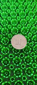 Rare 10sen 1971