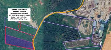 Agricultural Land in Alor Gajah, MLK
