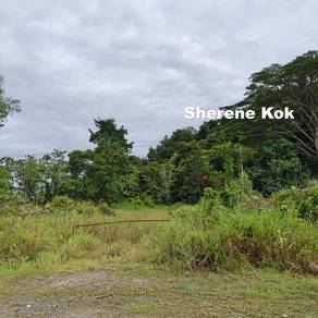 Agricultural Land in Kuching, SWK