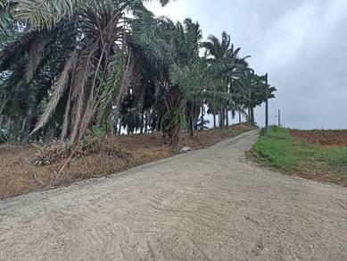 Agricultural Land in Rawang, SGR
