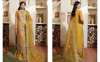 Pakistani dresses