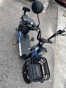 LEM basikal electric