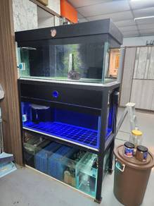 customer fish tank set