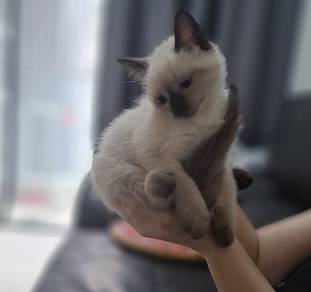 She born 11May 