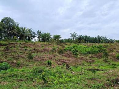 Commercial Land in Tampoi, JHR