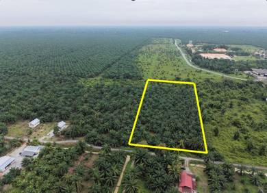 Agricultural Land in Sabak Bernam, SGR