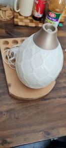 Young and Living Diffuser Oil