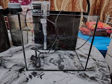 Fish Tank 