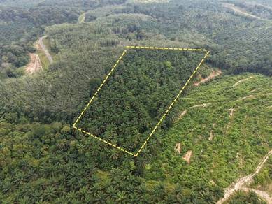 Agricultural Land in Maran, PHG