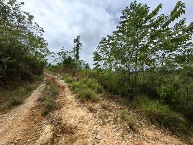 Agricultural Land in Raub, PHG