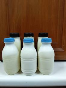 susu kambing segar