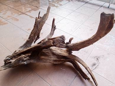 Natural Medium Drift Wood