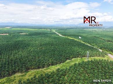 Agricultural Land in Sungai Petani, KDH