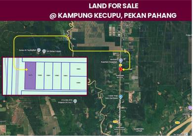 Agricultural Land in Pekan, PHG