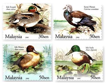 Mint Stamp Wild Duck Species (minor toning) 2006
