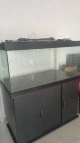 good aquarium 
