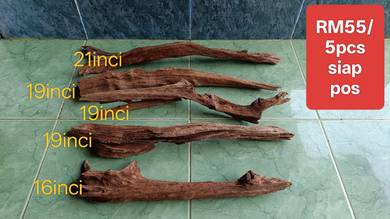aquascape & channa tank driftwood kombo
