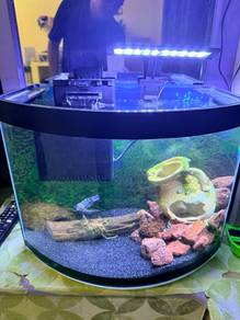 Blur Pollar Fish Full Set