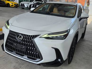2022 Lexus NX 250 LUXURY