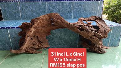 driftwood RARE aquascape tank 2.5ft 3ft BEST GUNA