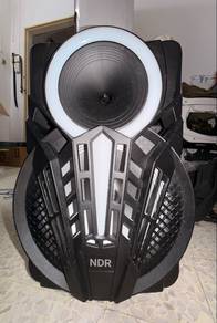 Speaker NDR-P12
