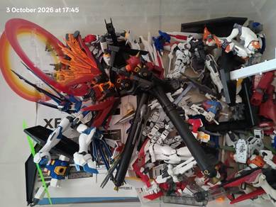 bundle Gundam hg and rg