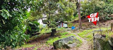 Agricultural Land in Balik Pulau, PNG