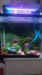 aquarium full set