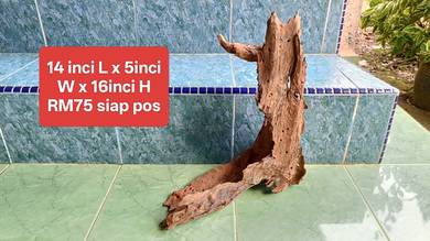 Driftwood hiasan akuarium TENGGELAM PONTIAN