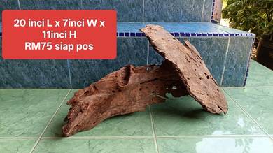 kayu aquascape bentuk unik - Pontian