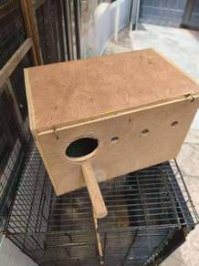 burung nest box baji / cockatiel