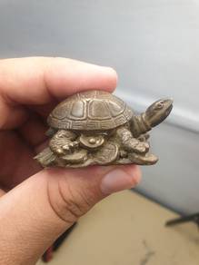 Kura-kura tembaga / Brass turtle