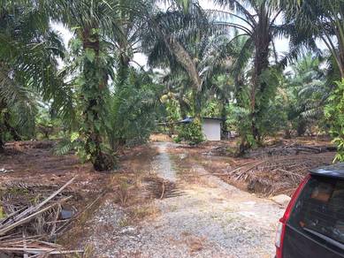 Agricultural Land in Pontian, JHR