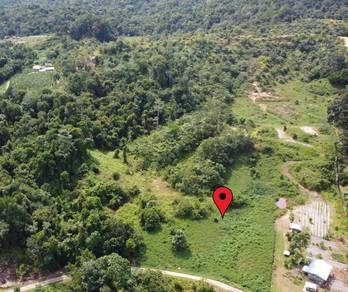 Agricultural Land in Miri, SWK