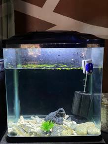 Full set tank murah