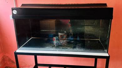 Aquarium / Akuarium 4 kaki 