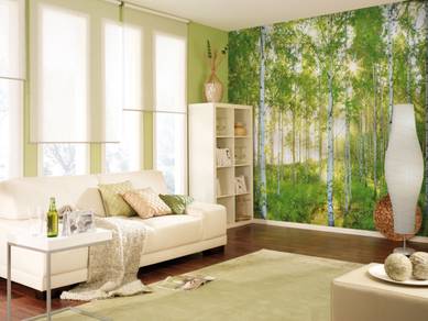 Premium Wallpaper   Mural